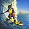 Crazycat Logo